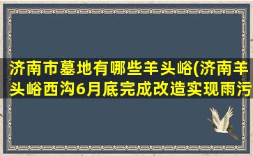 济南市墓地有哪些羊头峪(济南羊头峪西沟6月底完成改造实现雨污分流, 你怎么看)